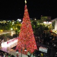 Broadway at the Beach presents the Holiday Tree Lighting