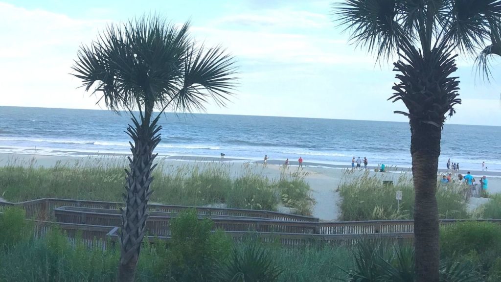 Palm trees an ocean on the boardwalk